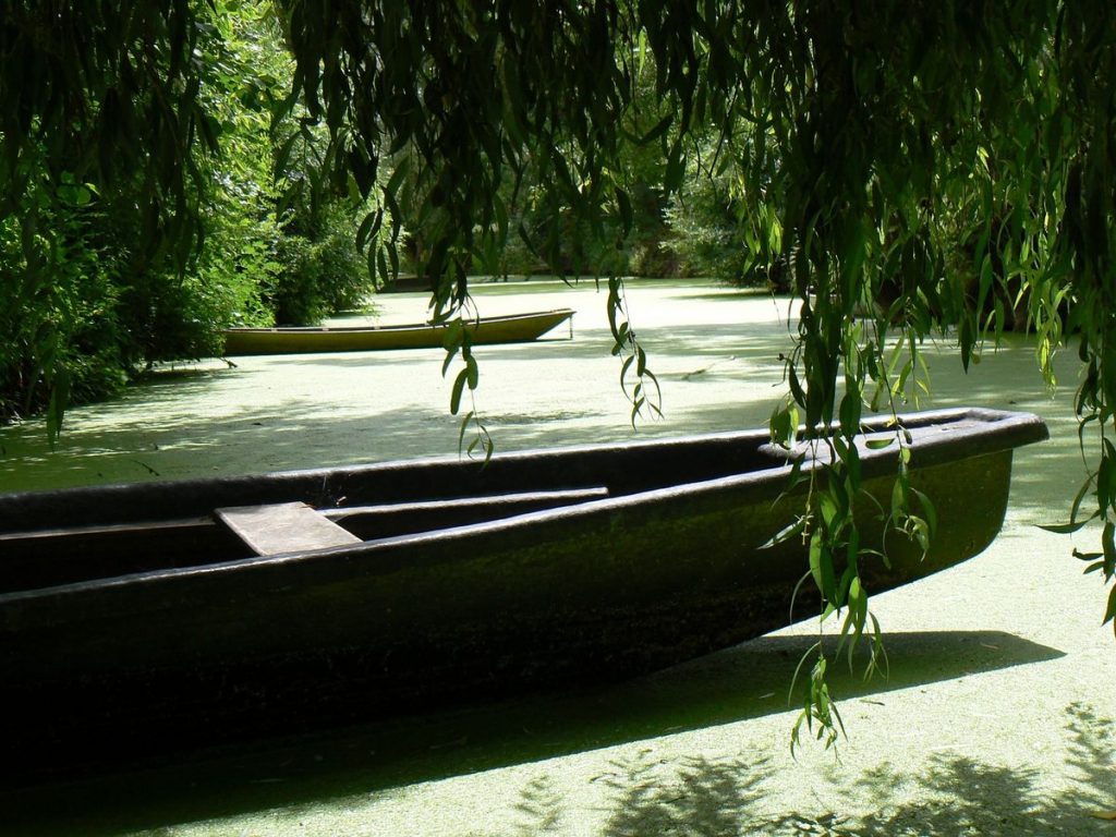 visiter-poitiers-marais-poitevin