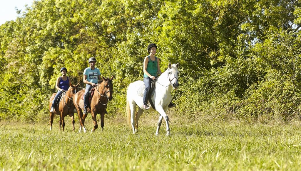 idées tourisme poitiers