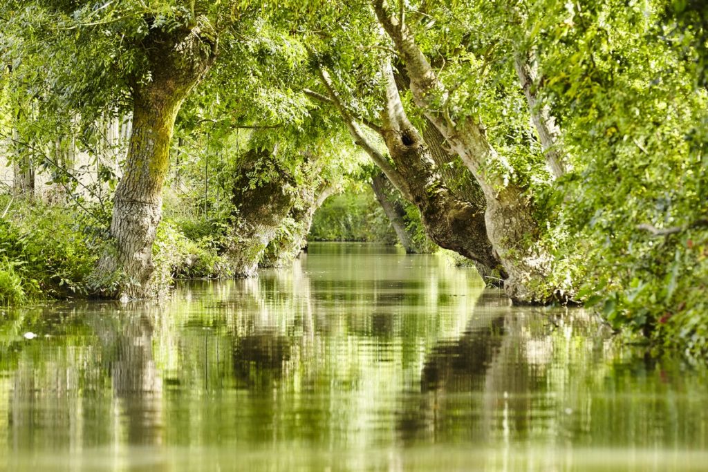 Le Parc Naturel R gional Du Marais Poitevin Id es Weekend