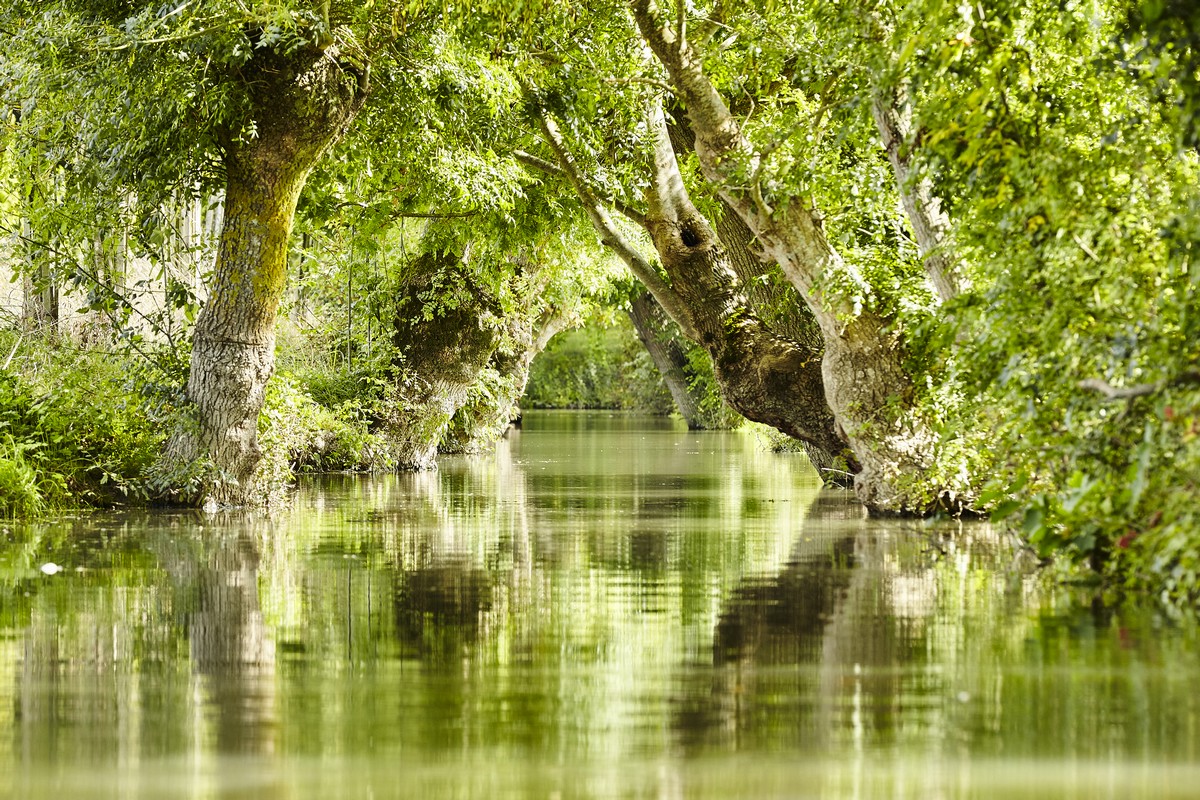 Les Plus Belles Balades Autour De Poitiers Le parc naturel régional du marais poitevin - Idées Weekend